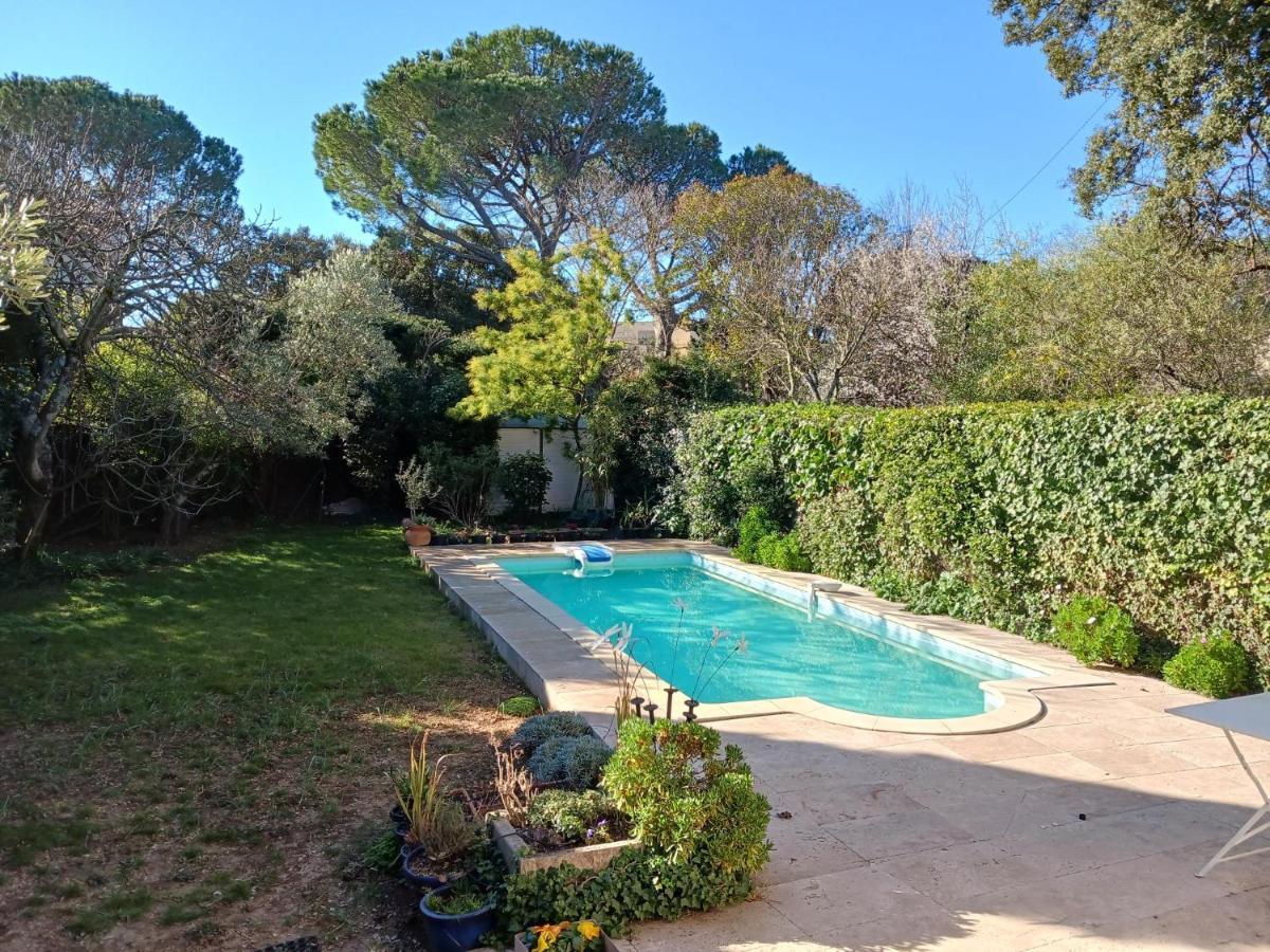 Studio Charmant Et Calme Villeneuve Les Avignon Entree Et Cour Independantes Climatisation Piscine Parking Eksteriør billede
