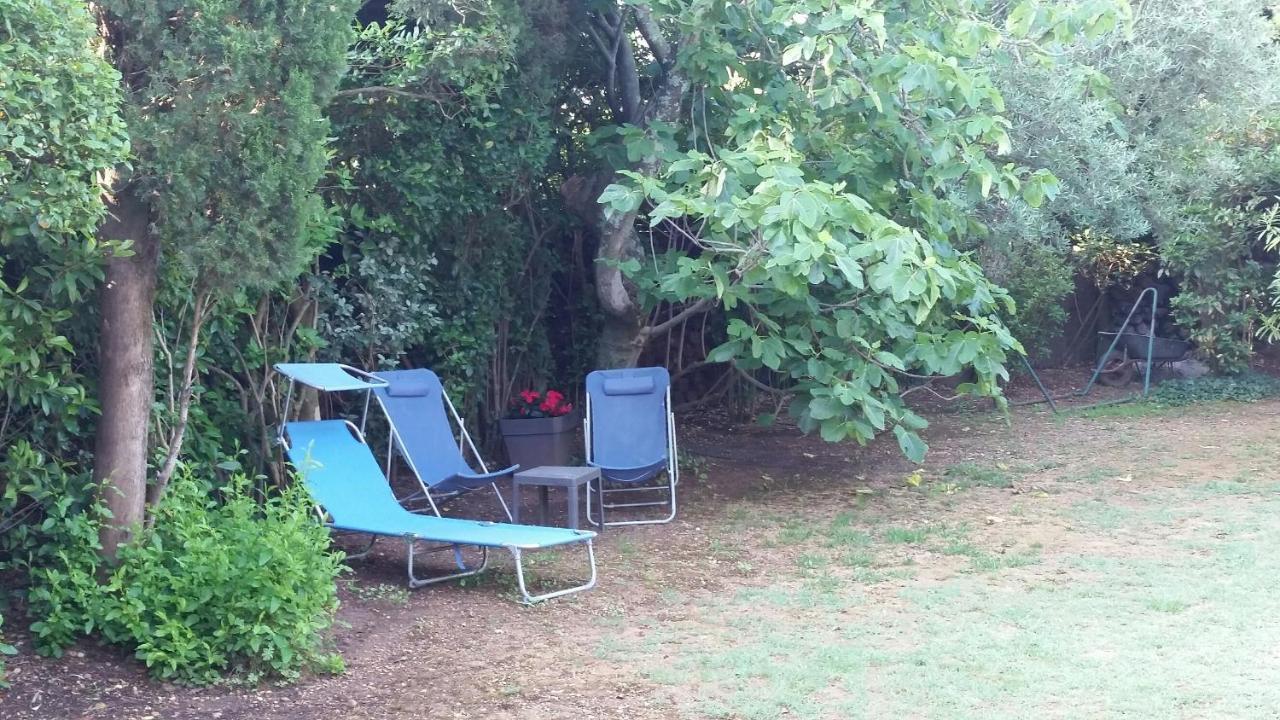Studio Charmant Et Calme Villeneuve Les Avignon Entree Et Cour Independantes Climatisation Piscine Parking Eksteriør billede