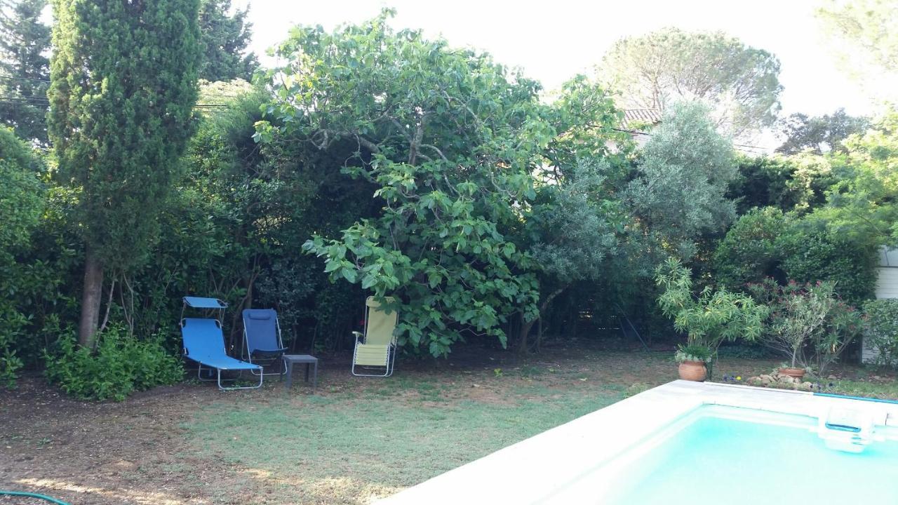 Studio Charmant Et Calme Villeneuve Les Avignon Entree Et Cour Independantes Climatisation Piscine Parking Eksteriør billede